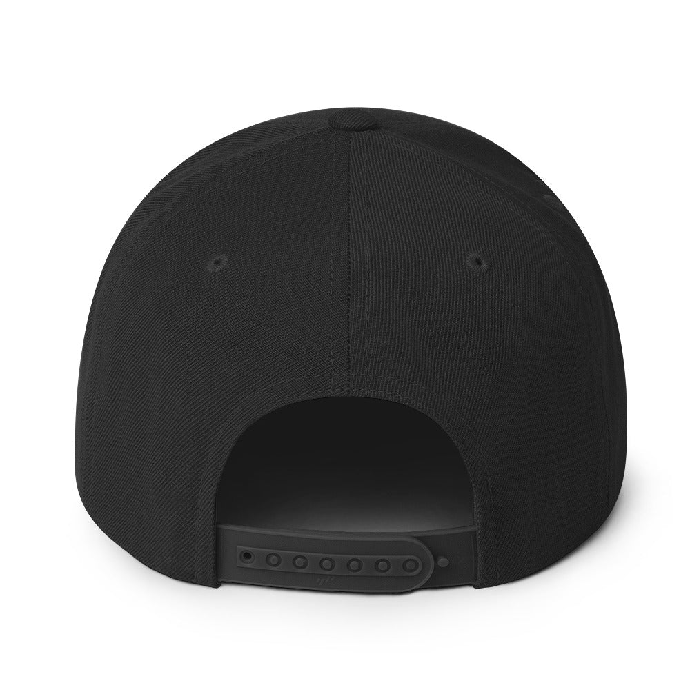 The Classic Snapback